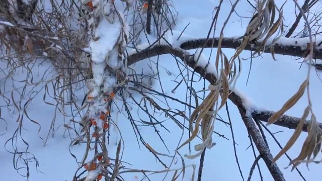 Поход за елочкой в стиле The Long Dark смотреть онлайн