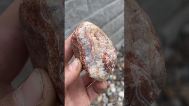 Lake Superior Agate Found in Ankeny, Iowa 2023 #rockhounding #lakesuperior #lakesuperioragate #iowa