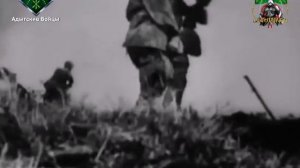 115-ая Кавалерийская Дивизия