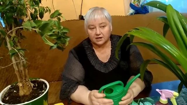 Занятие №5. 