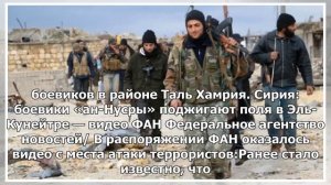Сирия: боевики «ан-Нусра» подожгли поля в Эль-Кунейтре - видео FAN