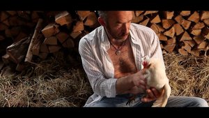 Вячеслав Быков     Еду я на день рождения