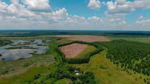 с. Таптыково. Зелень 2019