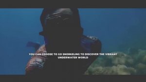 Great Barrier Reef : 3 Days Trip to Explore Australia