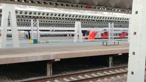 Прибытие электропоезда Ласточка сообщением Москва - Санкт-Петербург (Московский вокзал)