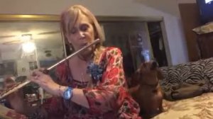 Dog sings with flute