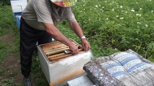 борьба с роением,ставим разделительные решетки.