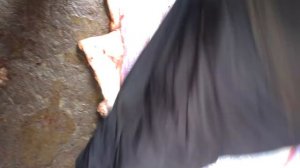 Разделка туши быка ножом из стали Р12 модель Амур