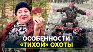 Грибной сезон на Ямале: как лучше собирать дары леса