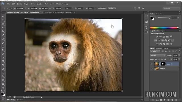 Photoshop CS6 Tutorial - Animal Face Transplant Using Non-Destructive Masking смотреть онлайн