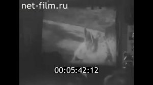 1965г.  п. Кубово Пудожский район Карелия