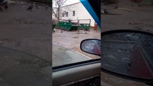 Девушка в норковой шубе в помойке!!!Пенза рулит