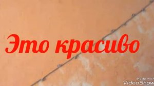 Жидкие обои своими руками