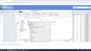 HP LaserJet 1100 driver installation Windows 10 x64