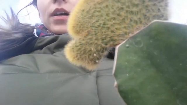 Как это было "Самый сок"?/Закупки с Onliner/Презентация духов смотреть онлайн