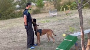 Лобовая атака