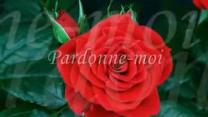 Pardonne moi Прости меня fan video)
