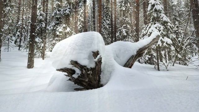 Зимняя сказка смотреть онлайн