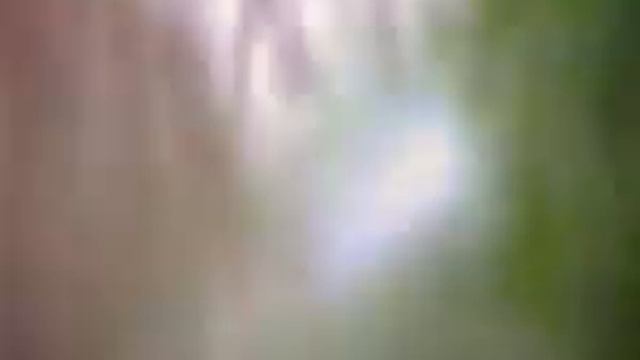 Ищем рыбу летом фишгаджет поиск рыбы online video cutter com смотреть онлайн