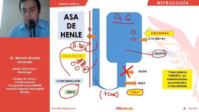 NEFRO | Bases en nefrología - ENAM 2021 смотреть онлайн