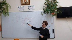 Лекция Т.В. Плесовских об иммунитете