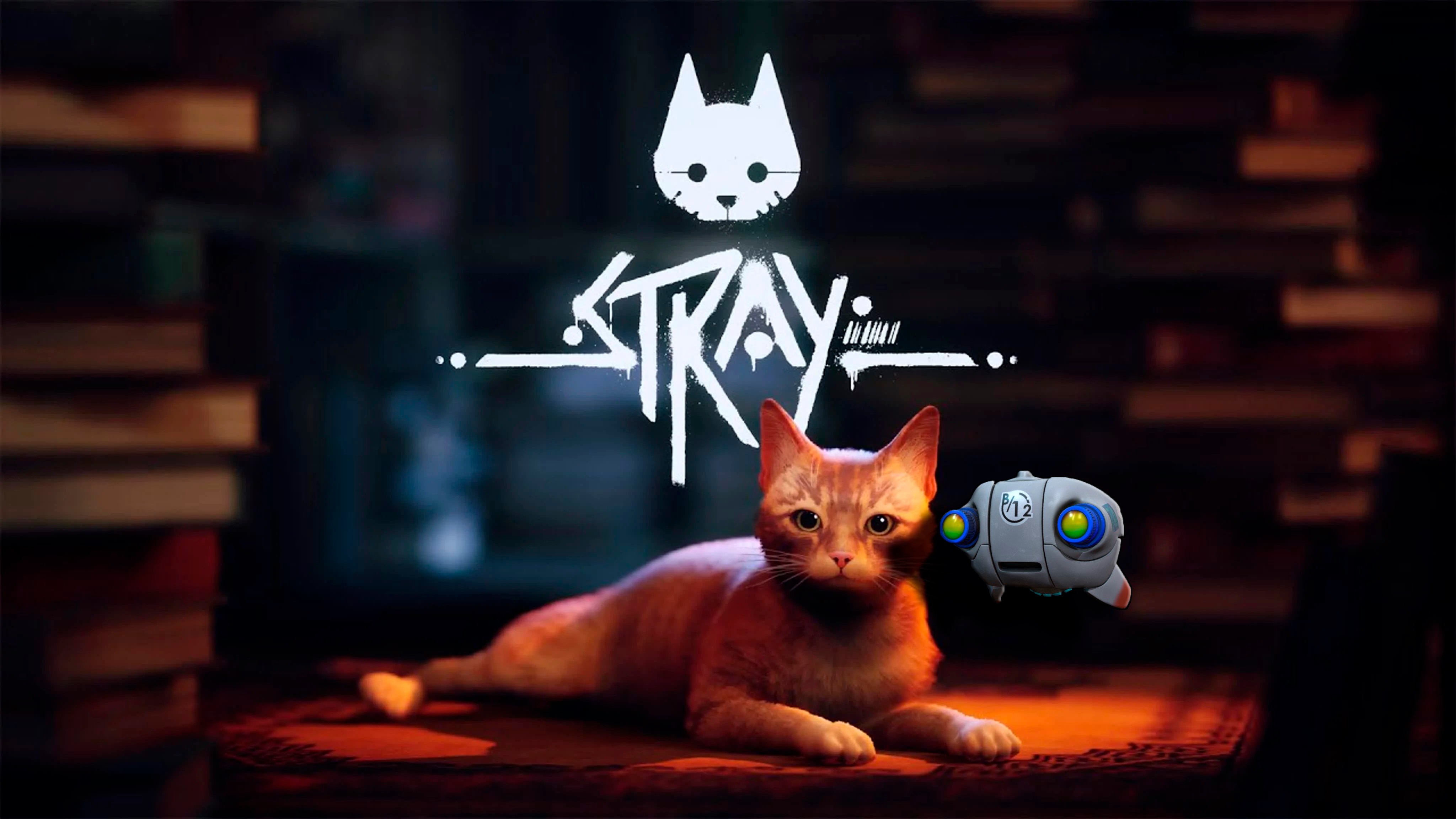 Кота 2022. Stray Cat игра. Stray 2022. Stray игра кот и b12. Stray Cat game 2022.