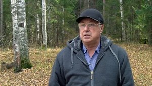 Что делать при встрече с медведем?