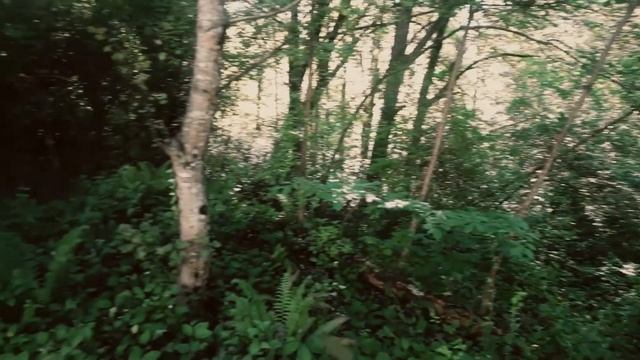 Богатыри/ Bogatyrs смотреть онлайн