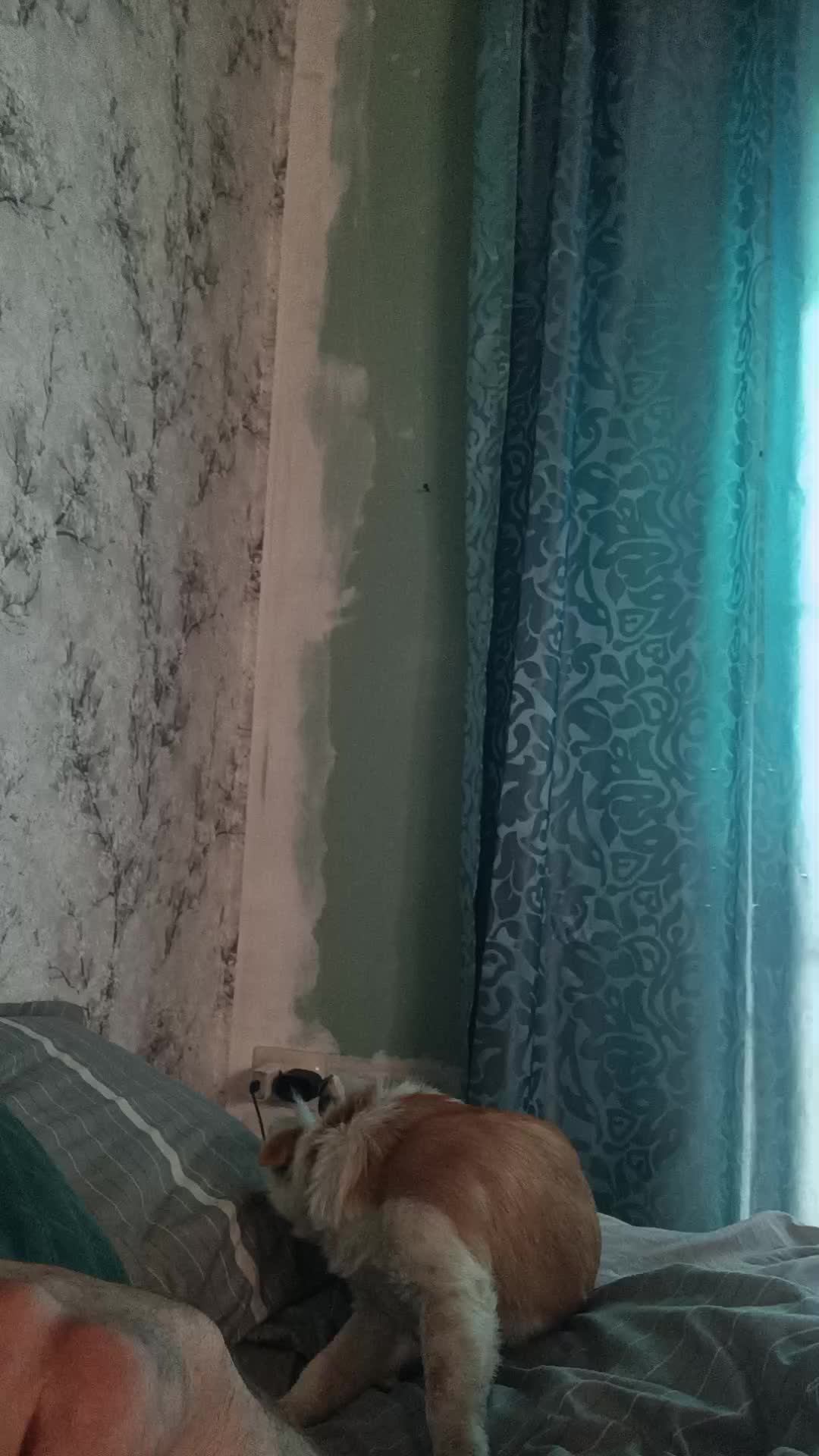 разговор