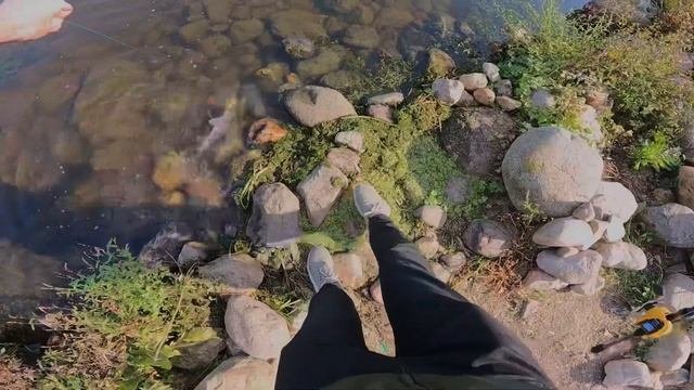 Первая рыбалка кастингом, первые впечатления и первые поимки.