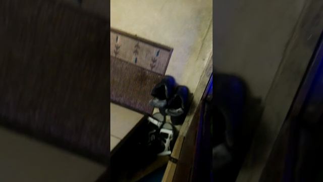 Гироскутер 10 дюймов смотреть онлайн