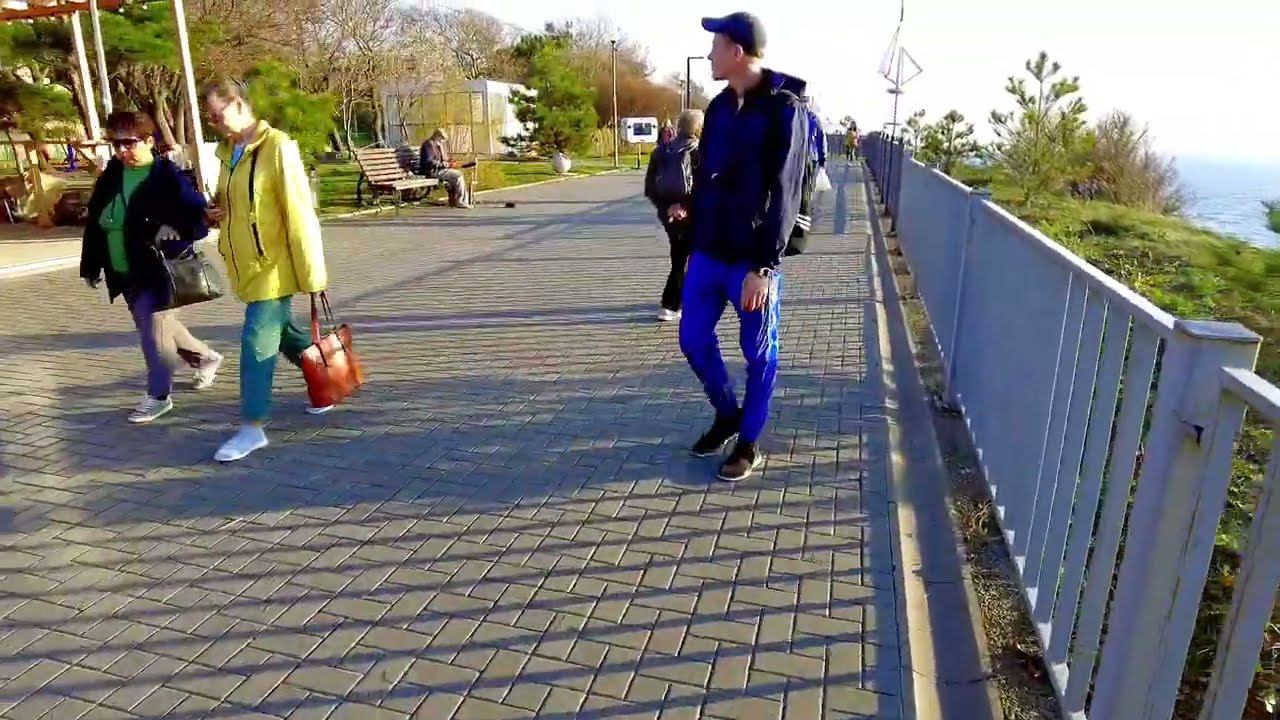 Анапа. Растения в конце осени.  Прогулка по южному городу. #Анапасейчас,  #ОзеленениевАнапе, #сад,