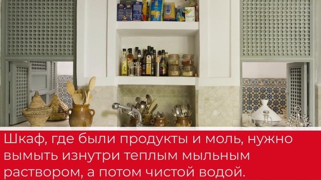 Как навсегда избавиться от моли смотреть онлайн