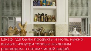 Как навсегда избавиться от моли