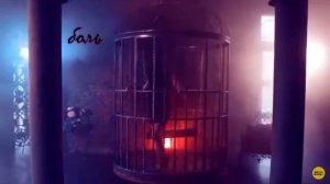 Инна вальтер