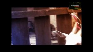 Легенды советского сыска Деньги для победы