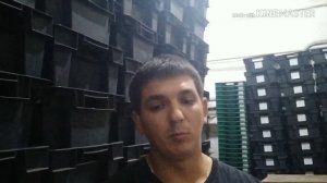 С чего же начать разведение червя дендробена? Советы и рекомендации.