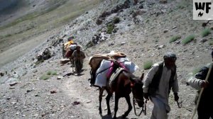 Afghanistan - Wakhan Corridor Trek: LANGAR CAMP