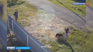 Нападение собаки на детей в уфимском микрорайоне Максимовка попало на видео