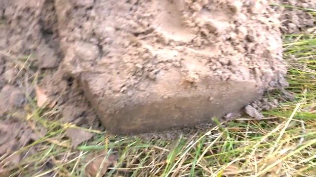 Старая дорога и погост. Серебро! Поиск с X-Terra 705 смотреть онлайн