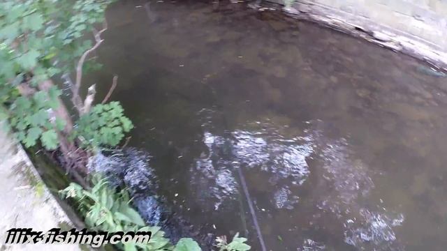 Форель на "чебурашку" (Рыбалка в Германии) смотреть онлайн