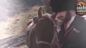 Крымский хан против Чеченцев