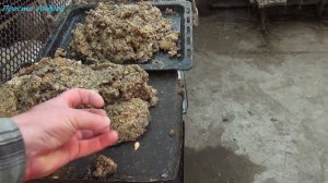 Нутрия кормление каша что и из чего состоит как приготовить