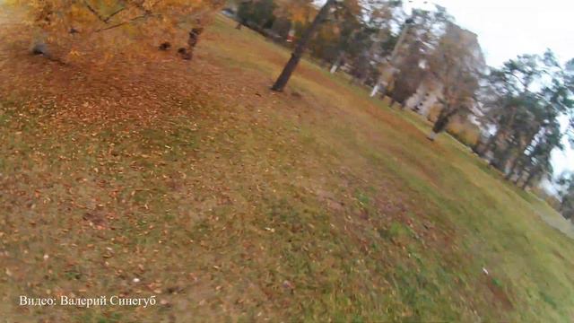 Тест полет блинчиком Мухи после модернизации на geprc mark 4 раму и курсовую камеру toothless 2 смотреть онлайн