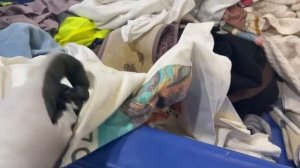 Барахолка без монтажа!Нашла гору обуви  на свалке в США!Наталья Майами Секонд Хенд в США