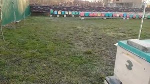 Качественная и Безопасная Дезинфекция Суши и Ульев!!!