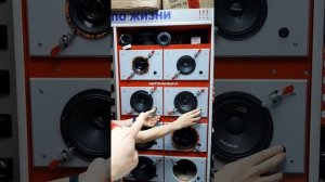 Прослушка Pride Ruby Air 6.5 против Dynamic State CM-16.4v2