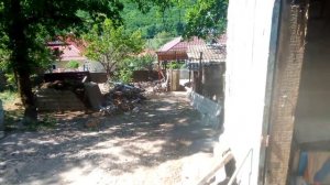 Крольчиха окролилась не в маточнике.