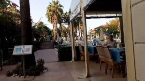 Trendy Hotel Palm Beach 5*  Side