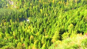 АБХАЗИЯ. УЩЕЛЬЕ. ЧАБГАРСКИЙ КАРНИЗ